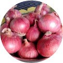 Onion - Phursungi